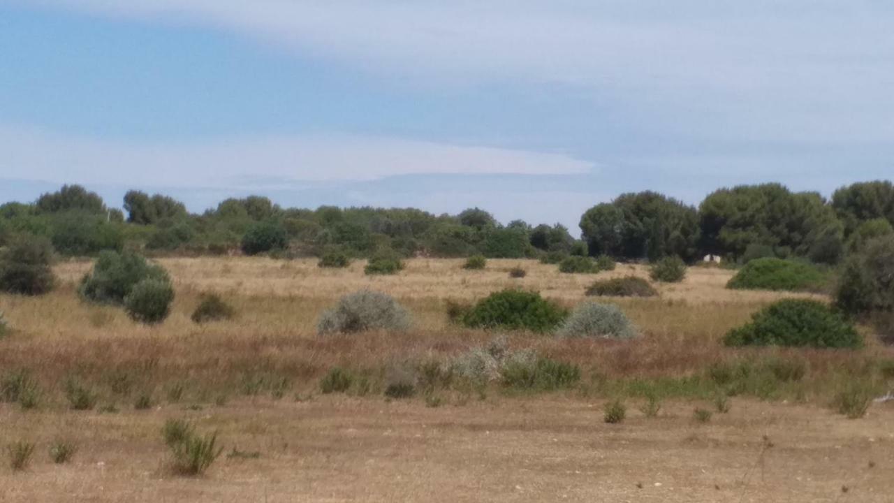 Cabanès des Aresquiers Maison de vacances Frontignan Esterno foto